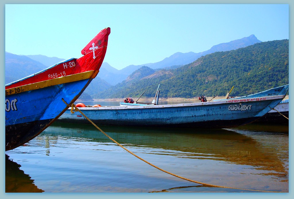 Boats takes you to view 'nature at it's best'