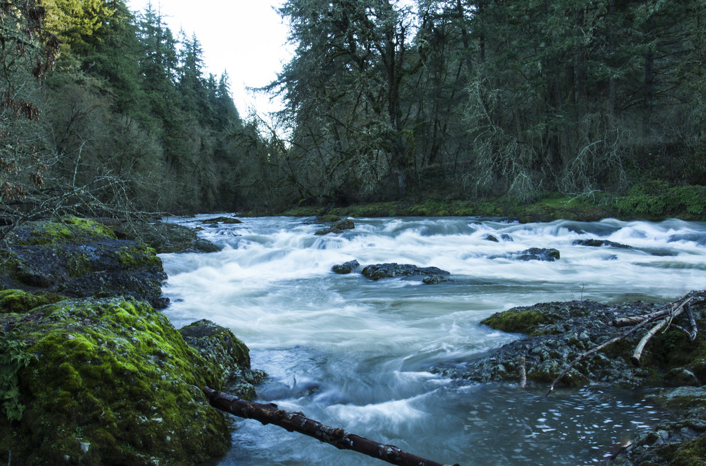 Calapooia River, Oregon