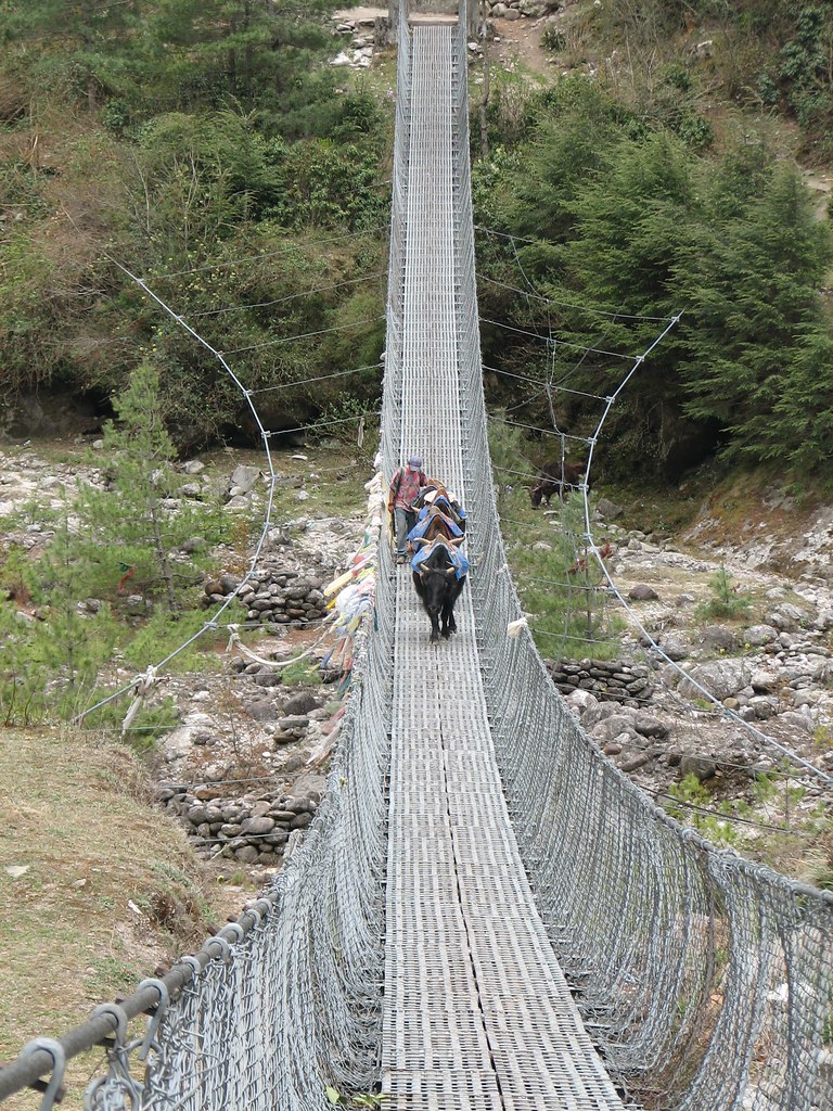 Nepal - Sagamartha Trek - 016 - waiting for yaks