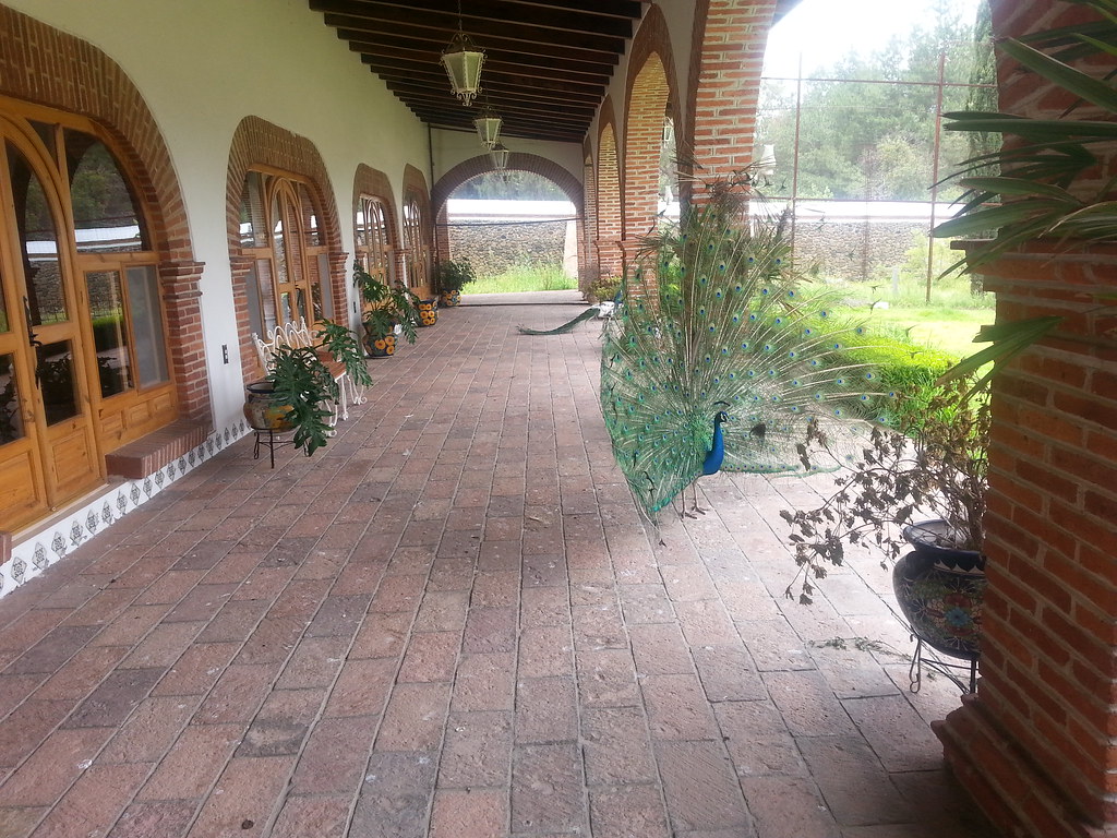 Siddha Yoga Meditation Retreat