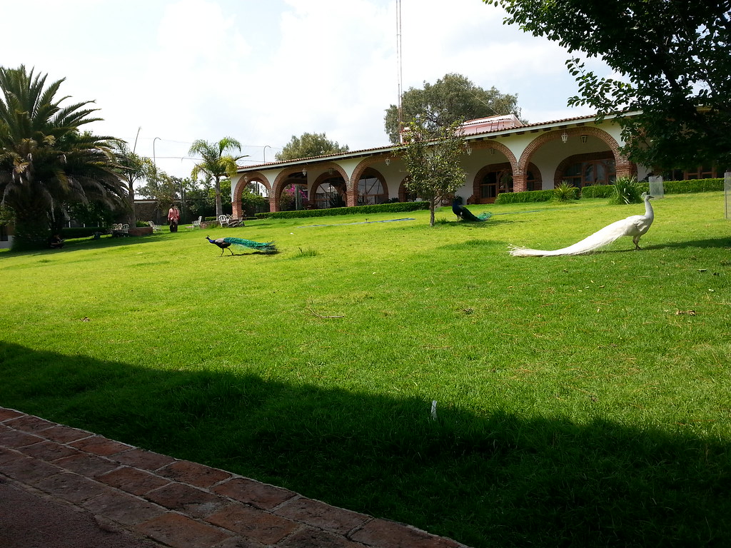 Siddha Yoga Meditation Retreat