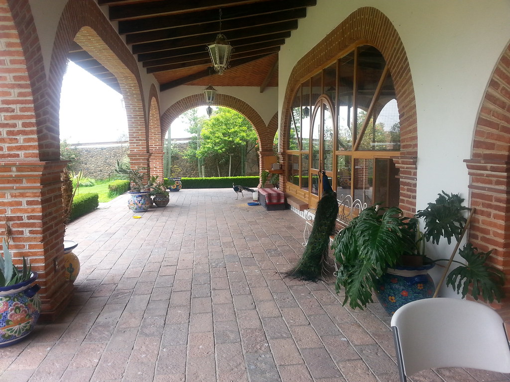Siddha Yoga Meditation Retreat